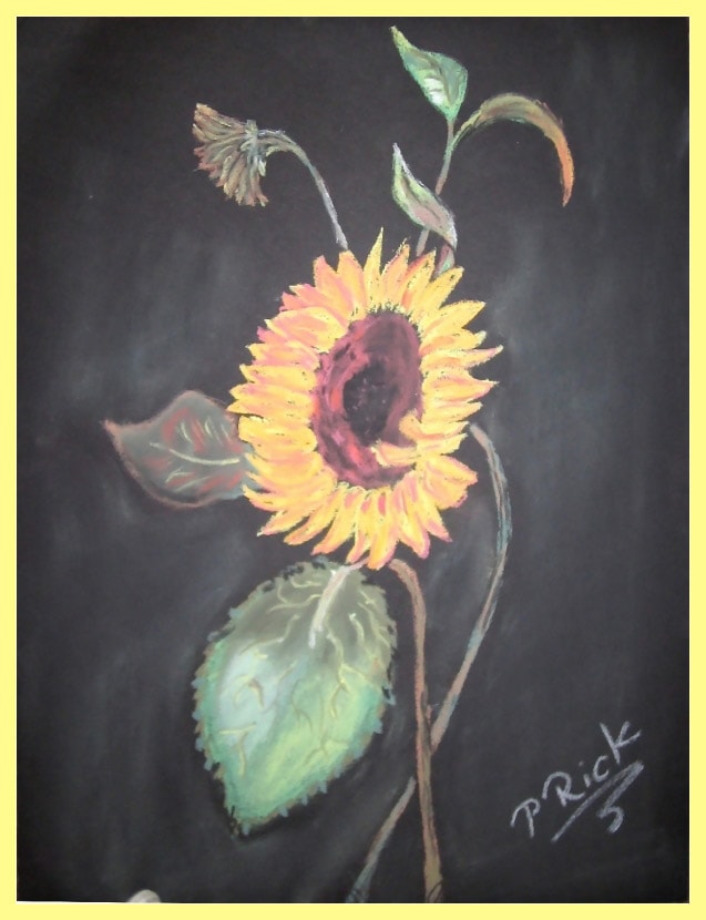 Sonnenblume - Stillleben von Petra Rick 2004 - Pastell
